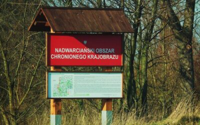 Atrakcje w Inowłodzu