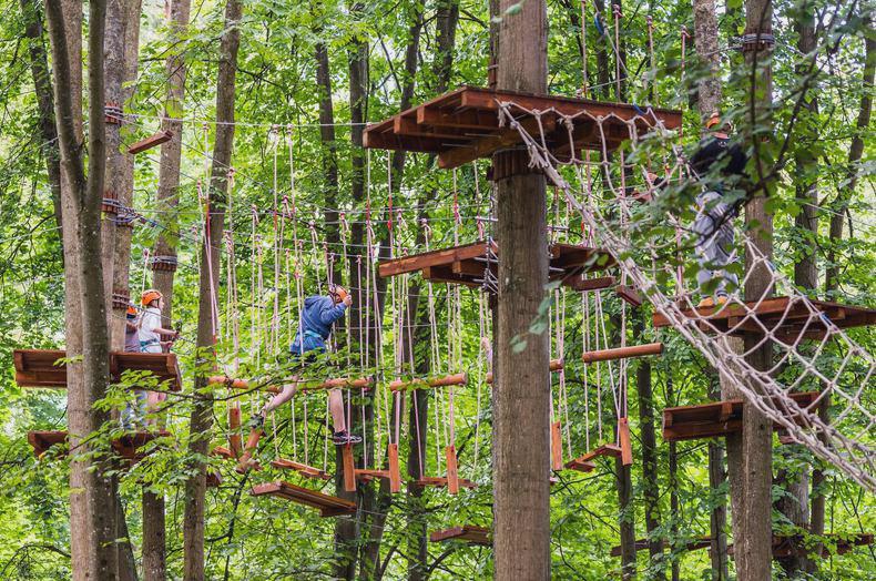 Park linowy nad Pilicą – ogólne informacje