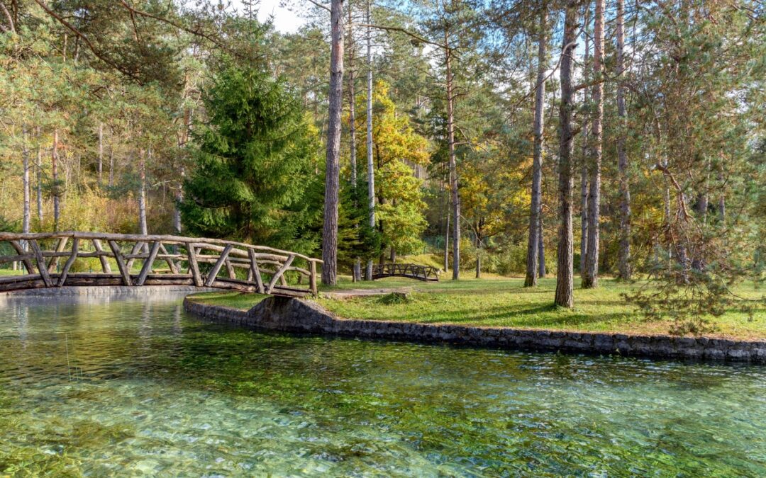 Spalski Park Krajobrazowy: Odkryj Przyrodę na Szlakach