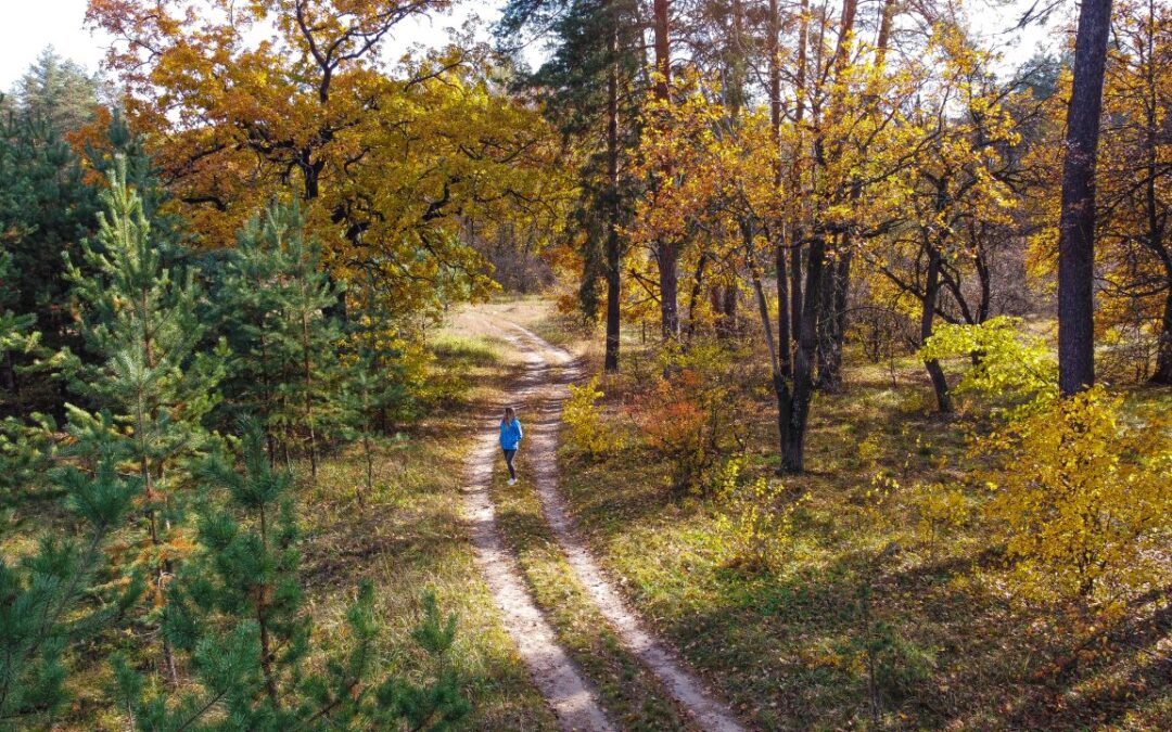 Jednodniowa wycieczka do Tomaszowa Mazowieckiego. Jak połączyć naturę i zwiedzanie?