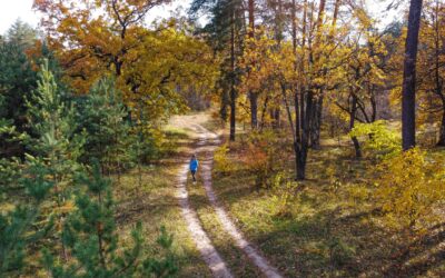 Jednodniowa wycieczka do Tomaszowa Mazowieckiego. Jak połączyć naturę i zwiedzanie?